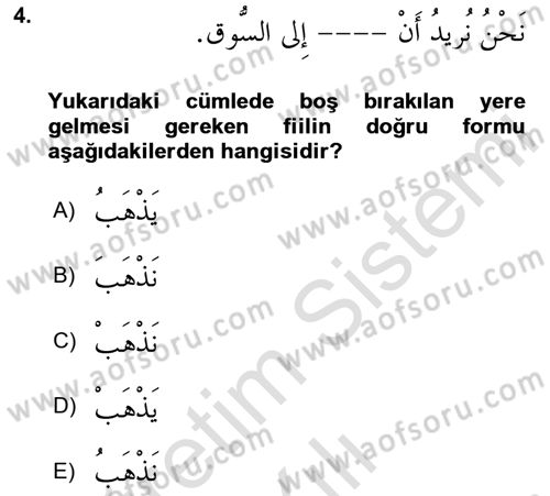 Arapça 2 Dersi 2024 - 2025 Yılı Yaz Okulu Sınav Soruları 4. Soru