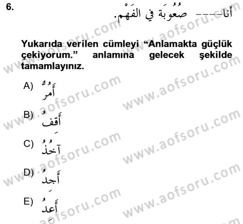 Arapça 2 Dersi 2024 - 2025 Yılı Yaz Okulu Sınav Soruları 6. Soru