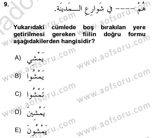 Arapça 2 Dersi 2024 - 2025 Yılı Yaz Okulu Sınav Soruları 9. Soru