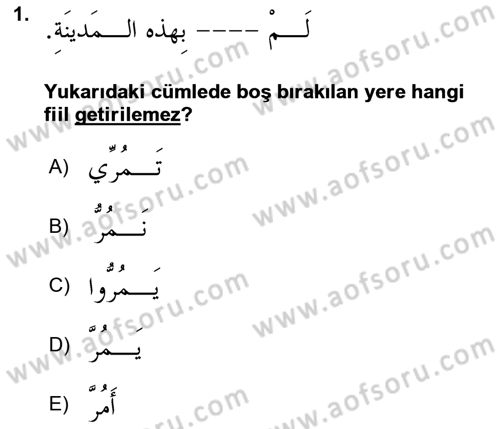 Arapça 2 Dersi 2025 - 2026 Yılı (Vize) Ara Sınav Soruları 1. Soru
