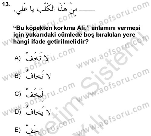 Arapça 2 Dersi 2025 - 2026 Yılı (Vize) Ara Sınav Soruları 13. Soru