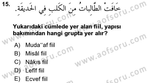 Arapça 2 Dersi 2025 - 2026 Yılı (Vize) Ara Sınav Soruları 15. Soru