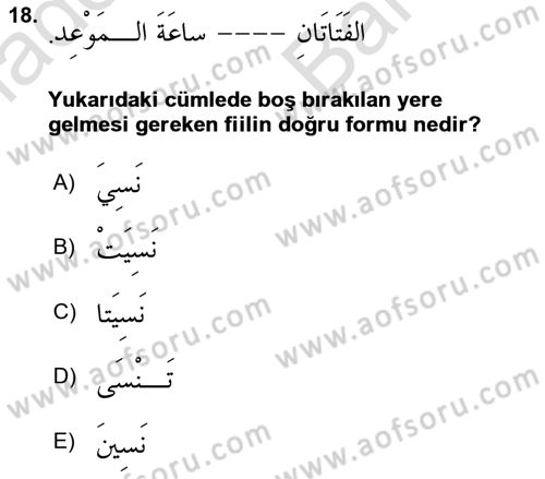 Arapça 2 Dersi 2025 - 2026 Yılı (Vize) Ara Sınav Soruları 18. Soru