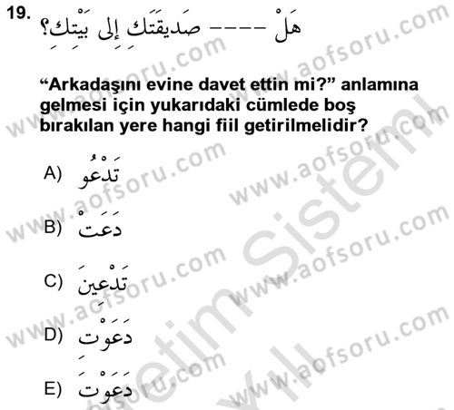 Arapça 2 Dersi 2025 - 2026 Yılı (Vize) Ara Sınav Soruları 19. Soru