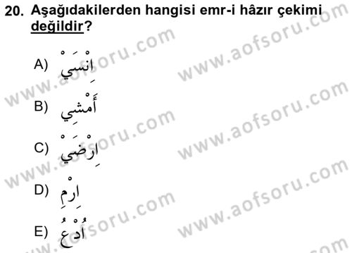 Arapça 2 Dersi 2025 - 2026 Yılı (Vize) Ara Sınav Soruları 20. Soru