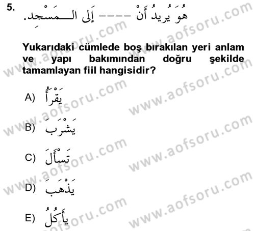 Arapça 2 Dersi 2025 - 2026 Yılı (Vize) Ara Sınav Soruları 5. Soru
