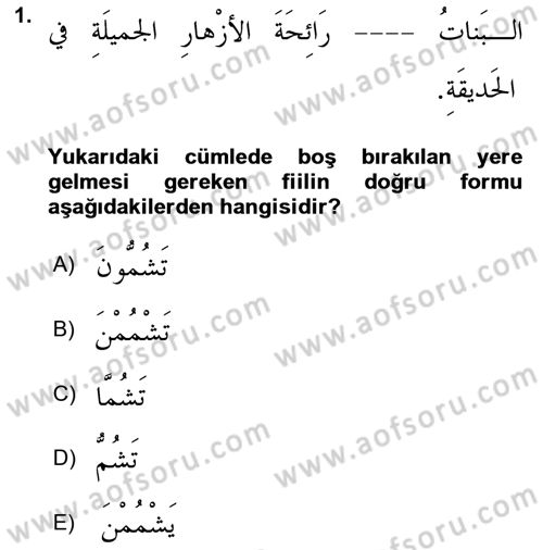 Arapça 2 Dersi 2025 - 2026 Yılı (Final) Dönem Sonu Sınav Soruları 1. Soru