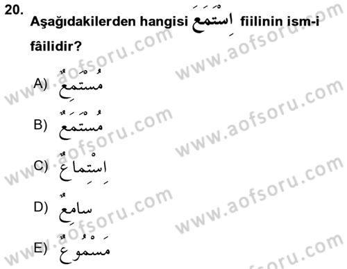 Arapça 2 Dersi 2025 - 2026 Yılı (Final) Dönem Sonu Sınav Soruları 20. Soru