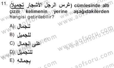 Arapça 3 Dersi 2012 - 2013 Yılı Tek Ders Sınav Soruları 11. Soru