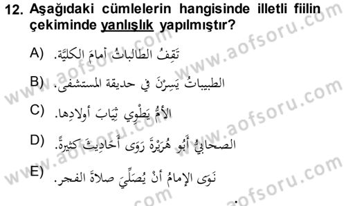 Arapça 3 Dersi 2013 - 2014 Yılı (Vize) Ara Sınav Soruları 12. Soru