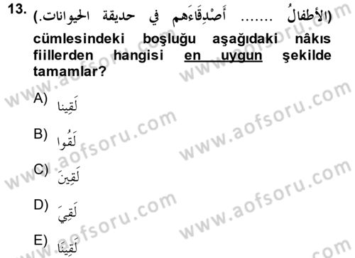 Arapça 3 Dersi 2013 - 2014 Yılı (Vize) Ara Sınav Soruları 13. Soru