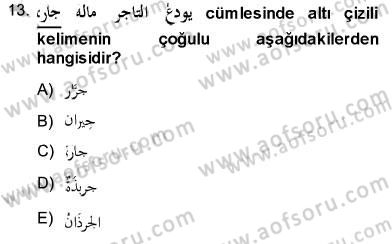 Arapça 3 Dersi 2013 - 2014 Yılı (Final) Dönem Sonu Sınav Soruları 13. Soru