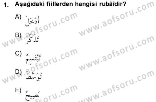 Arapça 3 Dersi 2014 - 2015 Yılı (Vize) Ara Sınav Soruları 1. Soru