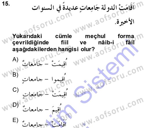 Arapça 3 Dersi 2014 - 2015 Yılı (Vize) Ara Sınav Soruları 15. Soru