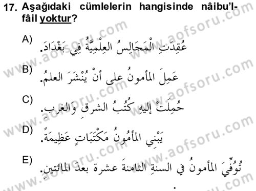 Arapça 3 Dersi 2014 - 2015 Yılı (Vize) Ara Sınav Soruları 17. Soru