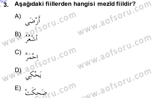 Arapça 3 Dersi 2014 - 2015 Yılı (Vize) Ara Sınav Soruları 3. Soru