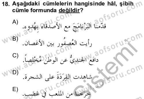Arapça 3 Dersi 2014 - 2015 Yılı (Final) Dönem Sonu Sınav Soruları 18. Soru