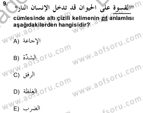 Arapça 3 Dersi 2014 - 2015 Yılı (Final) Dönem Sonu Sınav Soruları 9. Soru