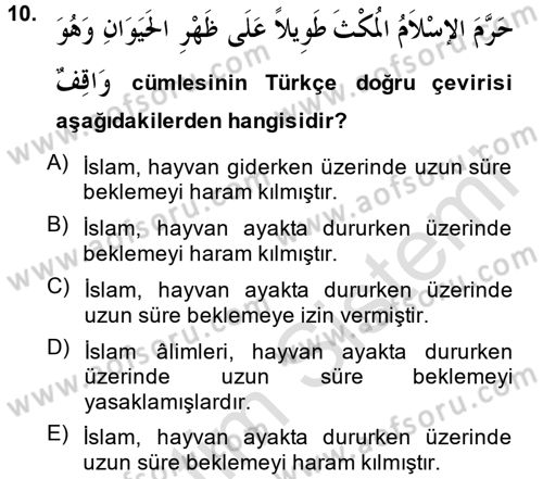 Arapça 3 Dersi 2014 - 2015 Yılı Tek Ders Sınav Soruları 10. Soru