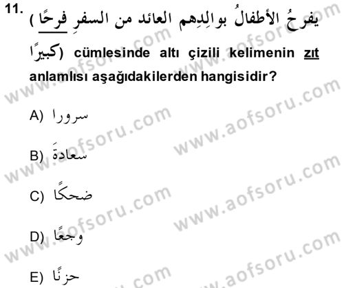 Arapça 3 Dersi 2014 - 2015 Yılı Tek Ders Sınav Soruları 11. Soru