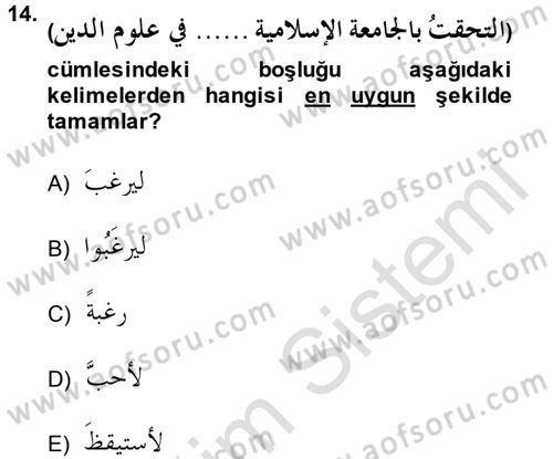 Arapça 3 Dersi 2014 - 2015 Yılı Tek Ders Sınav Soruları 14. Soru