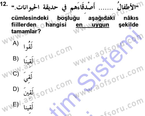 Arapça 3 Dersi 2015 - 2016 Yılı (Vize) Ara Sınav Soruları 12. Soru
