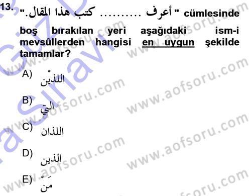 Arapça 3 Dersi 2015 - 2016 Yılı (Vize) Ara Sınav Soruları 13. Soru