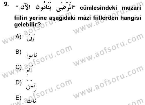 Arapça 3 Dersi 2015 - 2016 Yılı (Vize) Ara Sınav Soruları 9. Soru