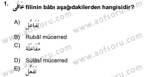 Arapça 3 Dersi 2015 - 2016 Yılı (Final) Dönem Sonu Sınav Soruları 1. Soru