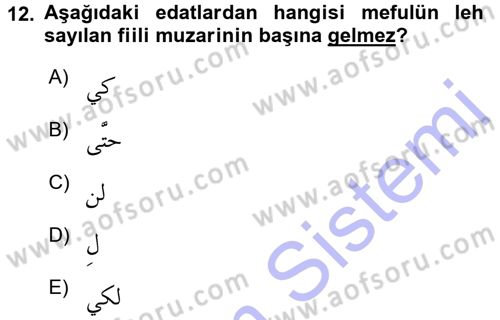 Arapça 3 Dersi 2015 - 2016 Yılı (Final) Dönem Sonu Sınav Soruları 12. Soru