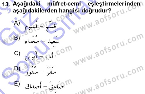 Arapça 3 Dersi 2015 - 2016 Yılı (Final) Dönem Sonu Sınav Soruları 13. Soru