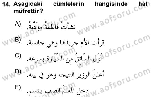 Arapça 3 Dersi 2015 - 2016 Yılı (Final) Dönem Sonu Sınav Soruları 14. Soru