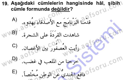 Arapça 3 Dersi 2015 - 2016 Yılı (Final) Dönem Sonu Sınav Soruları 19. Soru