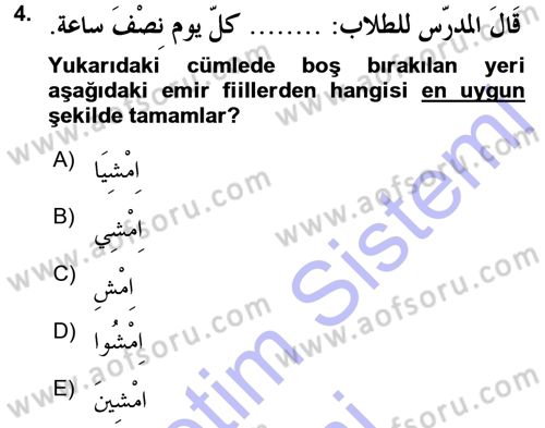 Arapça 3 Dersi 2015 - 2016 Yılı (Final) Dönem Sonu Sınav Soruları 4. Soru