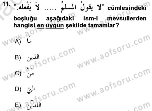 Arapça 3 Dersi 2016 - 2017 Yılı (Vize) Ara Sınav Soruları 11. Soru