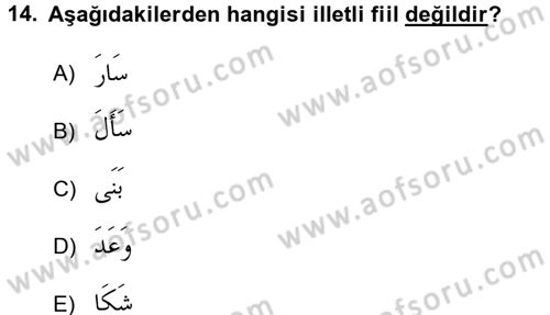 Arapça 3 Dersi 2016 - 2017 Yılı (Vize) Ara Sınav Soruları 14. Soru