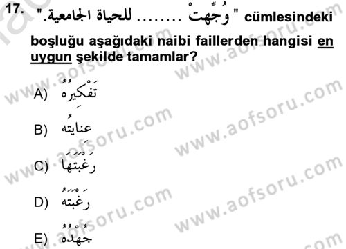Arapça 3 Dersi 2016 - 2017 Yılı (Vize) Ara Sınav Soruları 17. Soru