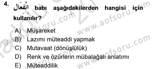 Arapça 3 Dersi 2016 - 2017 Yılı (Vize) Ara Sınav Soruları 4. Soru