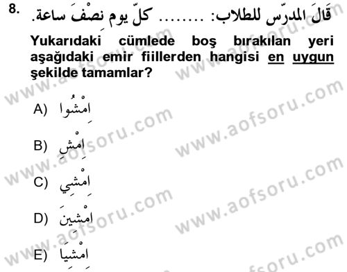 Arapça 3 Dersi 2016 - 2017 Yılı (Vize) Ara Sınav Soruları 8. Soru