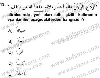 Arapça 3 Dersi 2016 - 2017 Yılı (Final) Dönem Sonu Sınav Soruları 13. Soru
