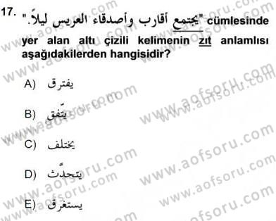 Arapça 3 Dersi 2016 - 2017 Yılı (Final) Dönem Sonu Sınav Soruları 17. Soru