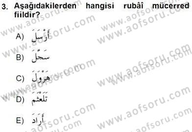 Arapça 3 Dersi 2016 - 2017 Yılı (Final) Dönem Sonu Sınav Soruları 3. Soru