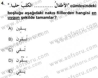 Arapça 3 Dersi 2016 - 2017 Yılı (Final) Dönem Sonu Sınav Soruları 4. Soru