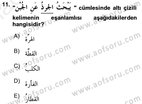 Arapça 3 Dersi 2017 - 2018 Yılı 3 Ders Sınav Soruları 11. Soru