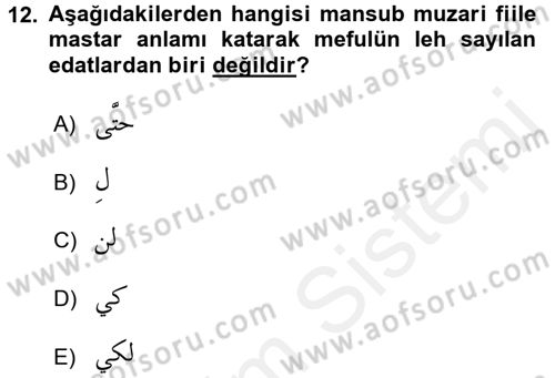 Arapça 3 Dersi 2017 - 2018 Yılı 3 Ders Sınav Soruları 12. Soru
