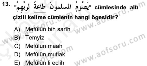Arapça 3 Dersi 2017 - 2018 Yılı 3 Ders Sınav Soruları 13. Soru