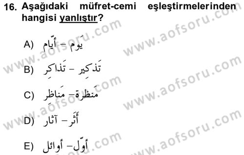 Arapça 3 Dersi 2017 - 2018 Yılı 3 Ders Sınav Soruları 16. Soru
