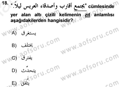 Arapça 3 Dersi 2017 - 2018 Yılı 3 Ders Sınav Soruları 18. Soru