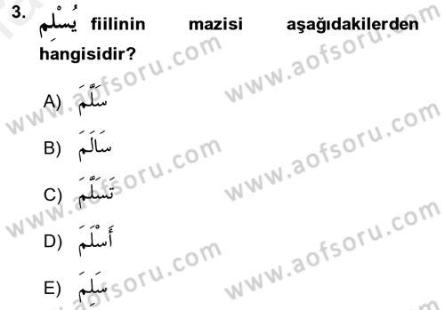 Arapça 3 Dersi 2017 - 2018 Yılı 3 Ders Sınav Soruları 3. Soru