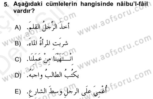 Arapça 3 Dersi 2017 - 2018 Yılı 3 Ders Sınav Soruları 5. Soru